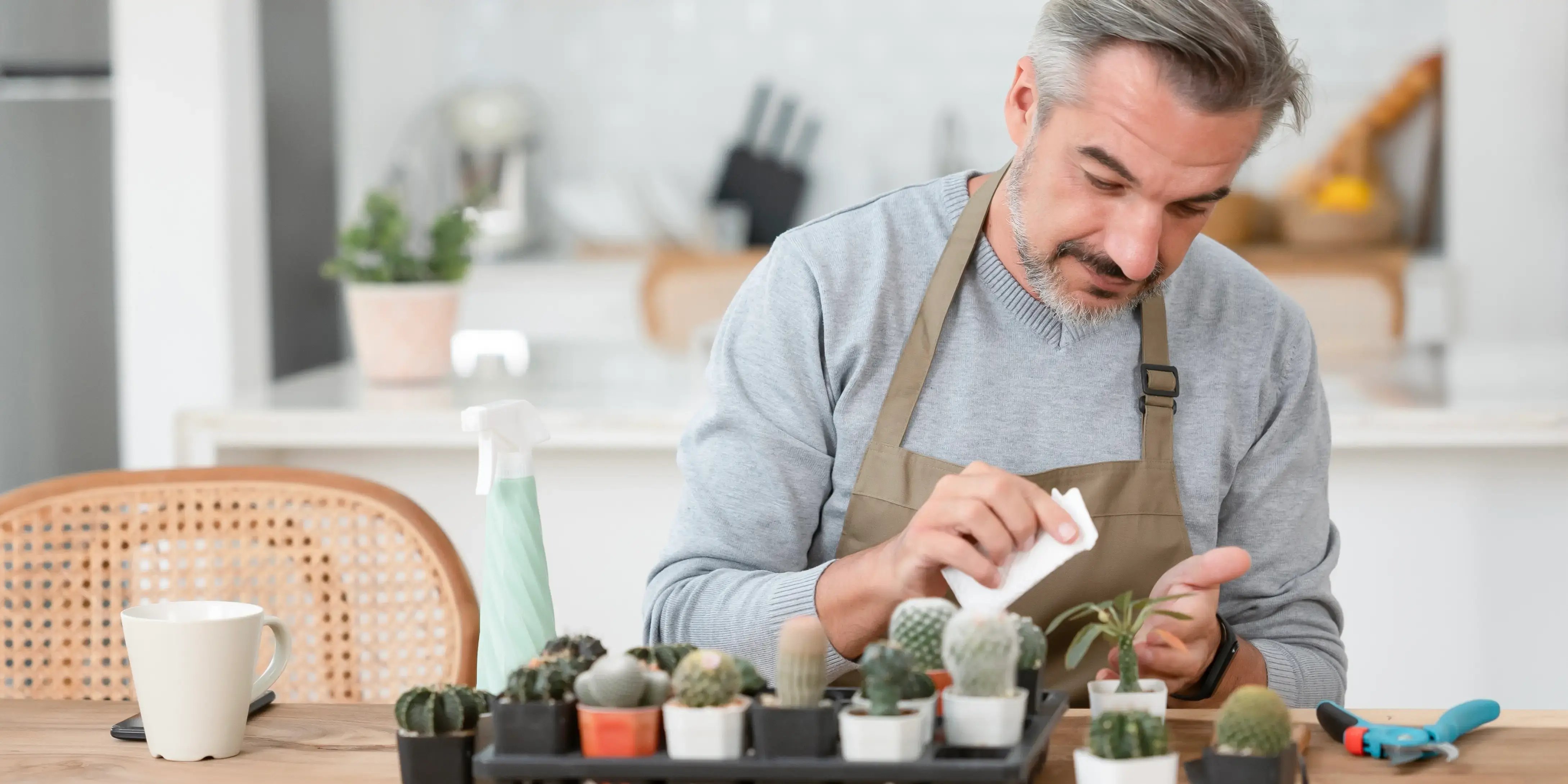 Hombre mayor sonriendo, cuidando su cactus de interior en la cocina de su casa como actividad divertida para adultos mayores