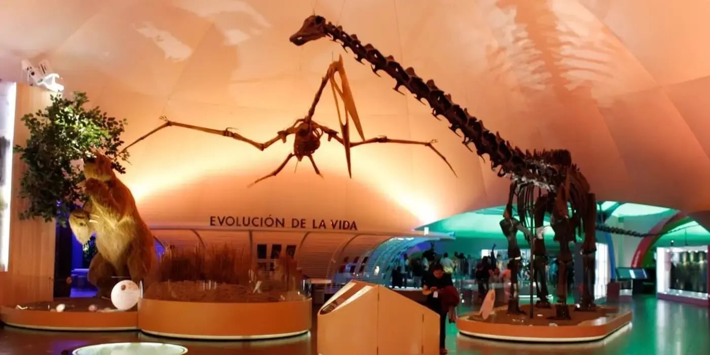 Museo de Historia Natural y Cultura Ambiental