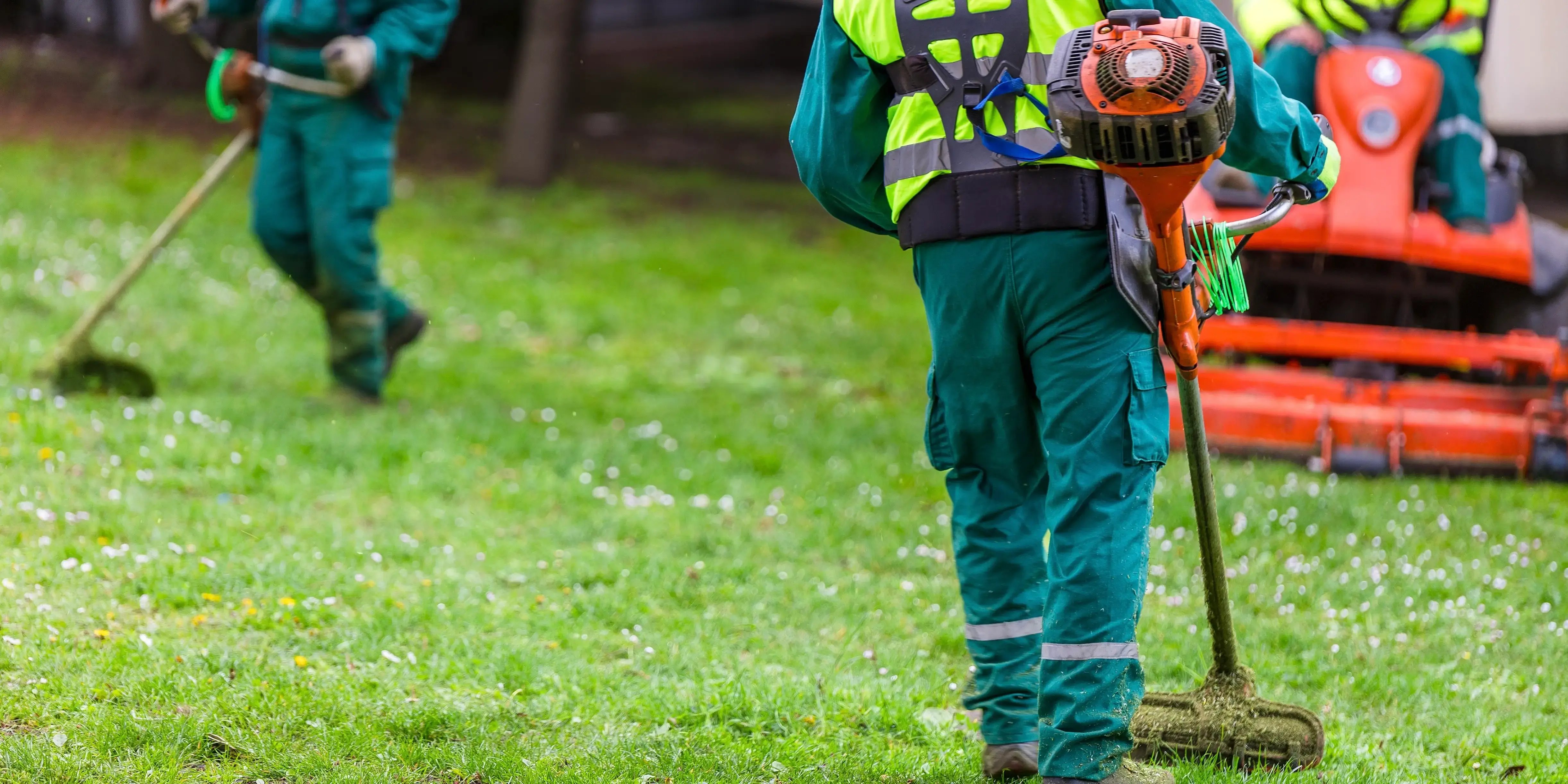 Tres paisajistas en uniforme cortando y limpiando una zona de hierba verde con equipos de césped, centrándose en el mantenimiento y la vegetación en Bosque Real