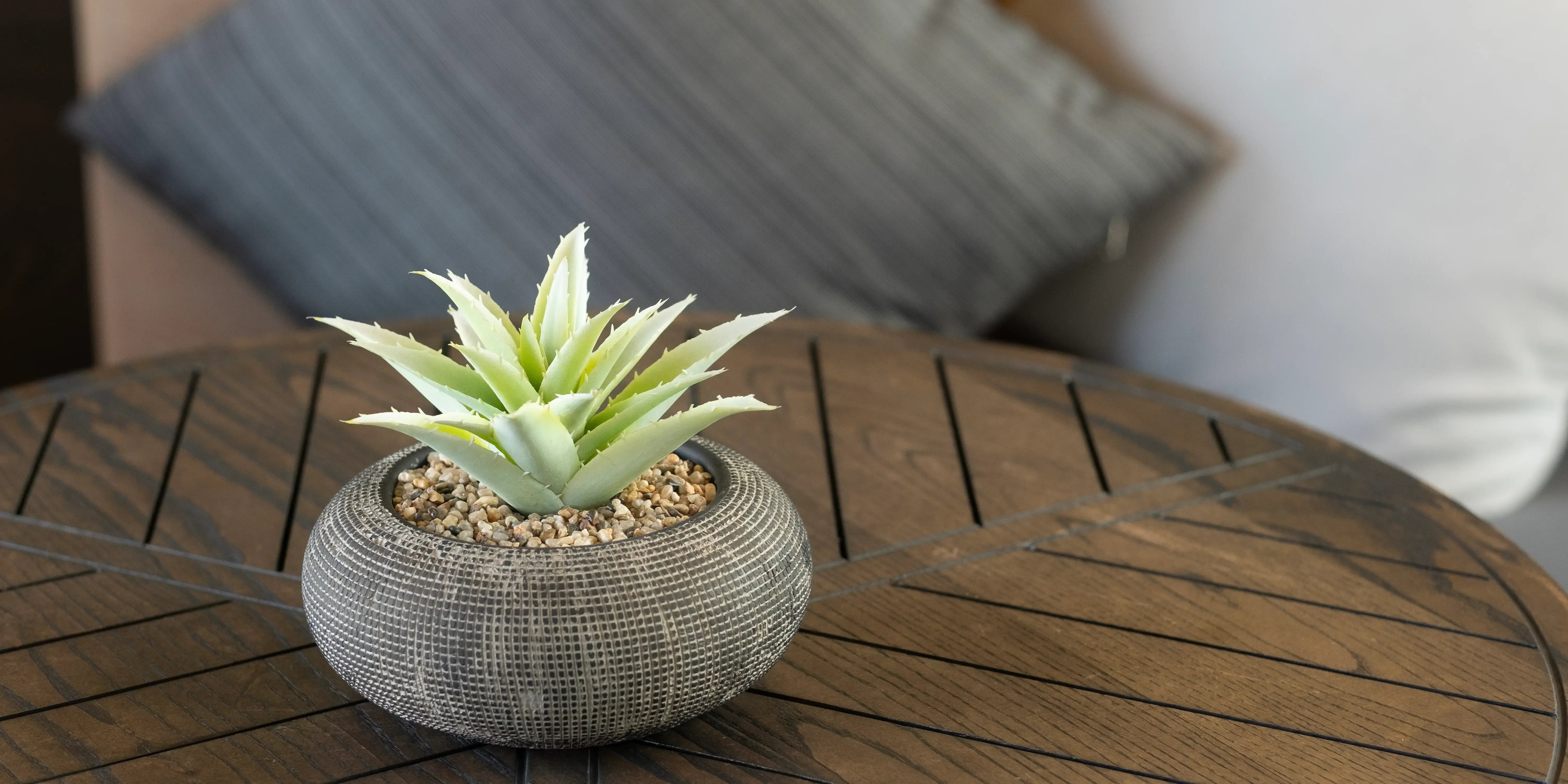 Mesa de madera y maceta con catus. Estilo orgánico